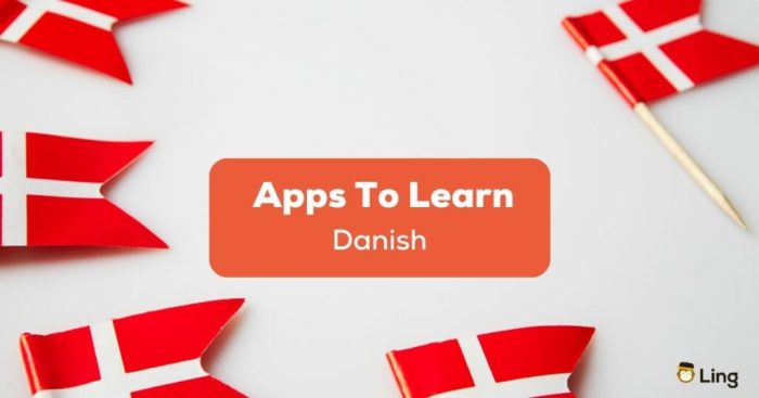 How to Speak Danish Fluently