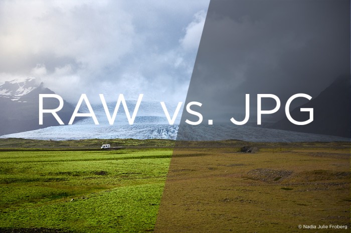 Nikon raw camera monochrome shooting benefits control picture