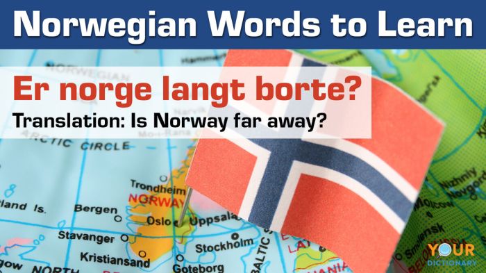 Norwegian verbs opposite norsk thinkific Norwegian verbs opposite norsk thinkific