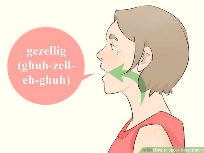 How to Speak Dutch Fluently