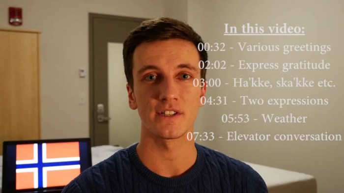 How to Learn 100 Norwegian Words in a Month