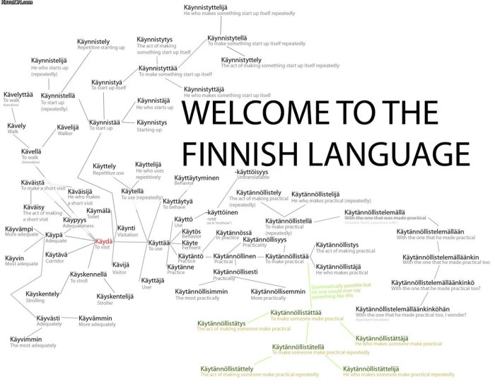 How to Learn 100 Finnish Words in a Month
