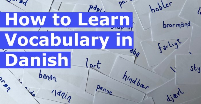 How to Learn 100 Danish Words in a Month