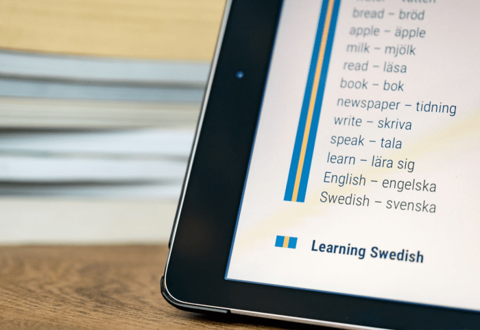 How to Learn 100 Swedish Words in a Month