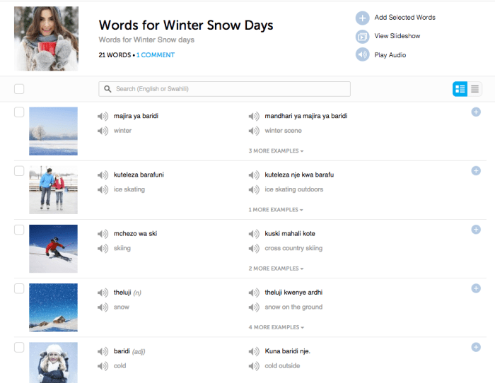 How to Learn 100 Swahili Words in a Month