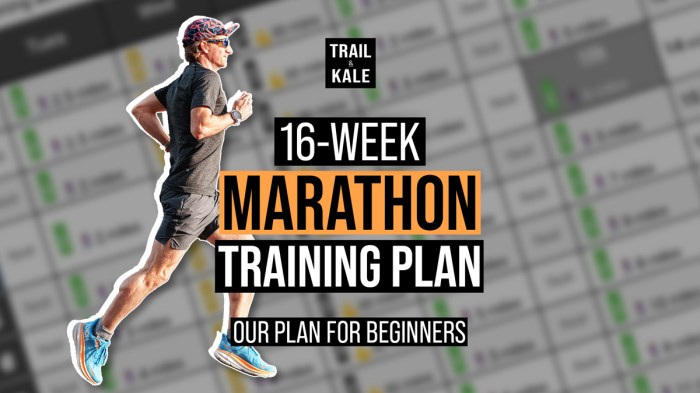 How to Run a Marathon: 10 Training Tips for Beginners