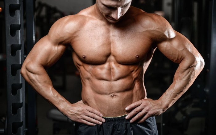 Workout gym muscle day program building beginners plan routine exercise training plans workouts body men paperblog work out full weekly
