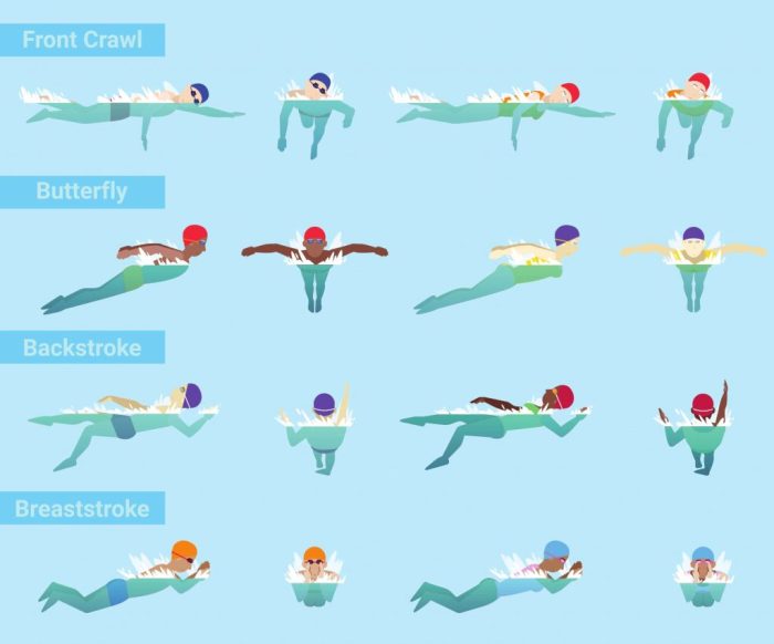 Swimming strokes basic beginners swim basics techniques easy can into made details component parts their simple breaking discover them read Swimming strokes basic beginners swim basics techniques easy can into made details component parts their simple breaking discover them read