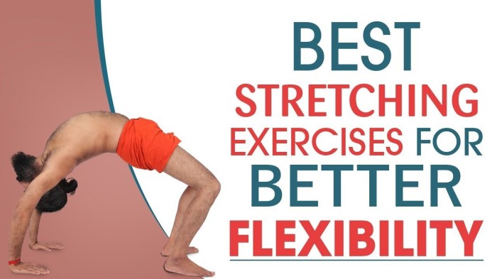 Stretching exercises flexibility increase