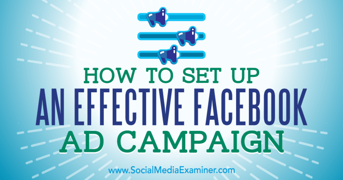 Successful campaign ad facebook takeaways running key fancycrave