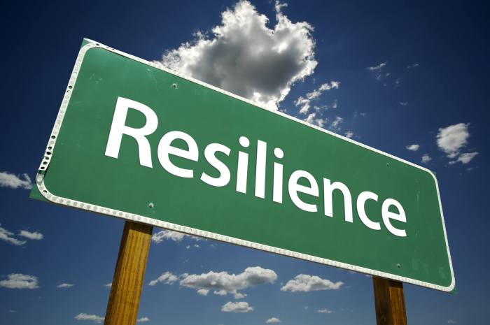 How to Build Resilience: 5 Strategies for Bouncing Back from Adversity